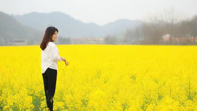 油菜什么时下尿素（油菜什么时下尿素最好）-第2张图片-ECN交易平台排行榜