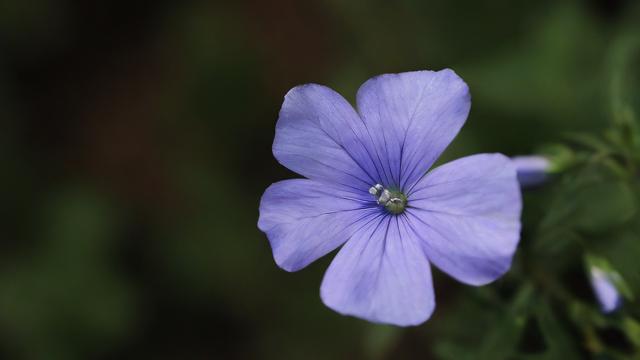 花名册究竟是什么？-第1张图片-ECN交易平台排行榜