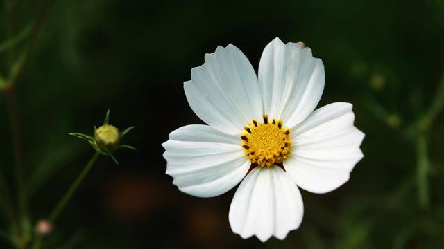 花名册究竟是什么？-第3张图片-ECN交易平台排行榜